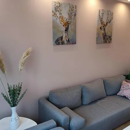 Moderan Porodicni Apartman, Smjestaj, Stan U Tuzli Daire